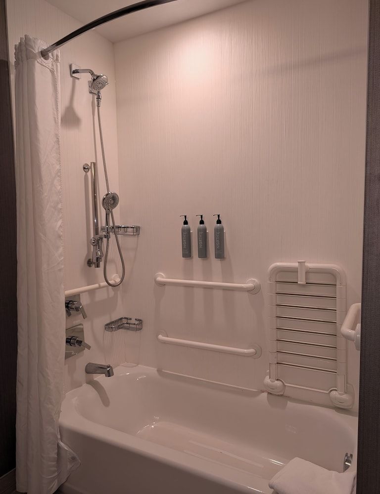 Room, 1 King Bed with Sofa bed (Mobility/Hearing Accessible, Tub)