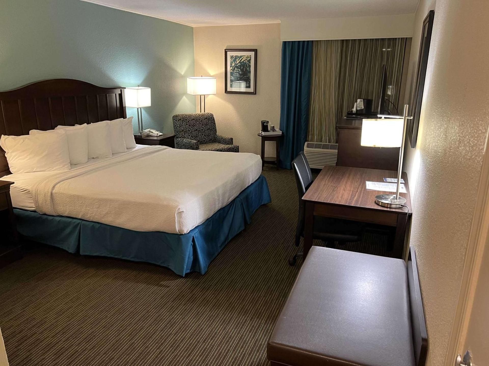 Accessibility - 1 King, Walk-in Shower, Nonsmoking