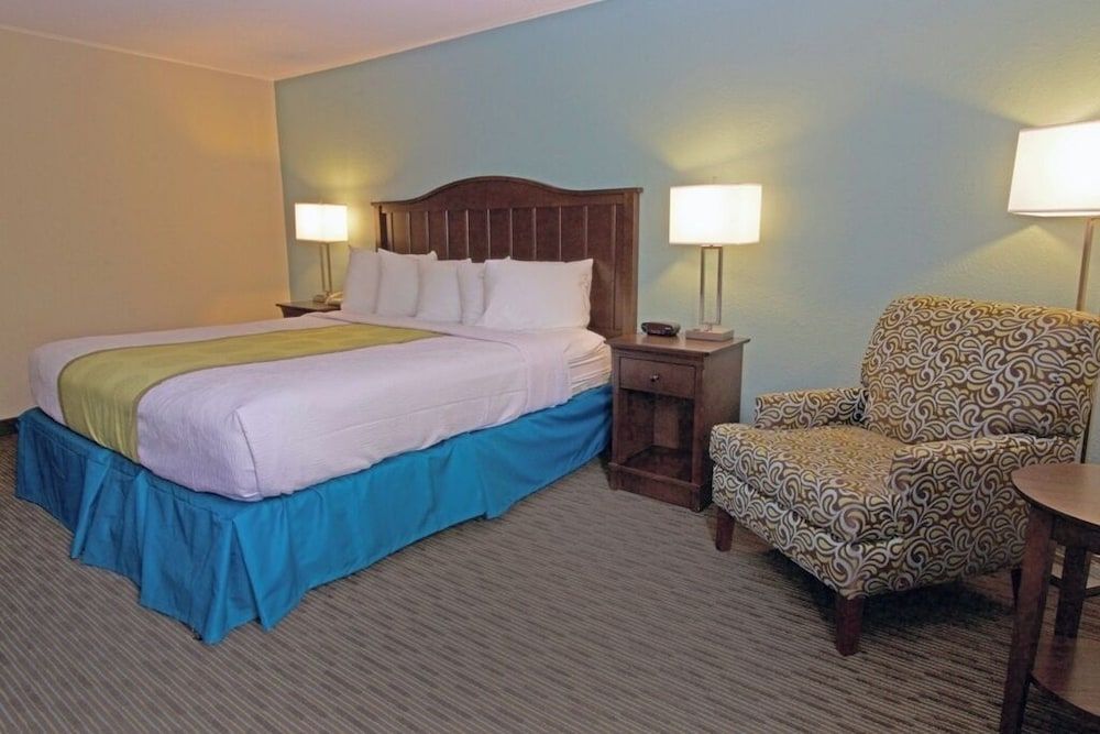 Standard Room, 1 King Bed, Accessible, Non Smoking (Walk-in Shower)