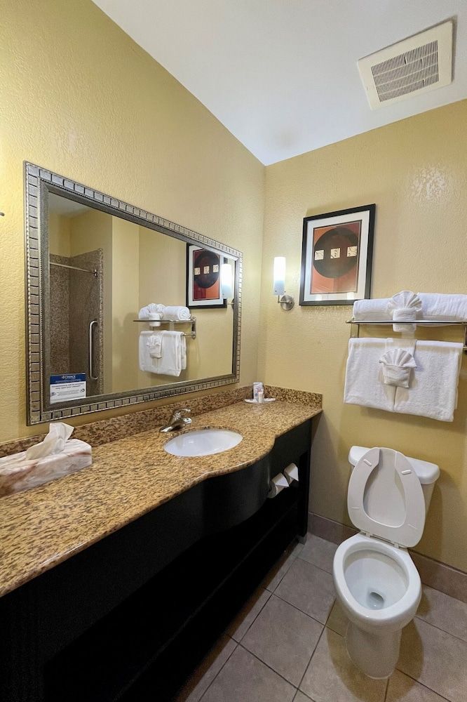 Comfort Suites Augusta Riverwatch Suite, 1 King Bed with Sofa bed, Accessible, Non Smoking 8