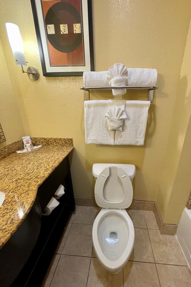 Comfort Suites Augusta Riverwatch Suite, 1 King Bed with Sofa bed, Accessible, Non Smoking 7