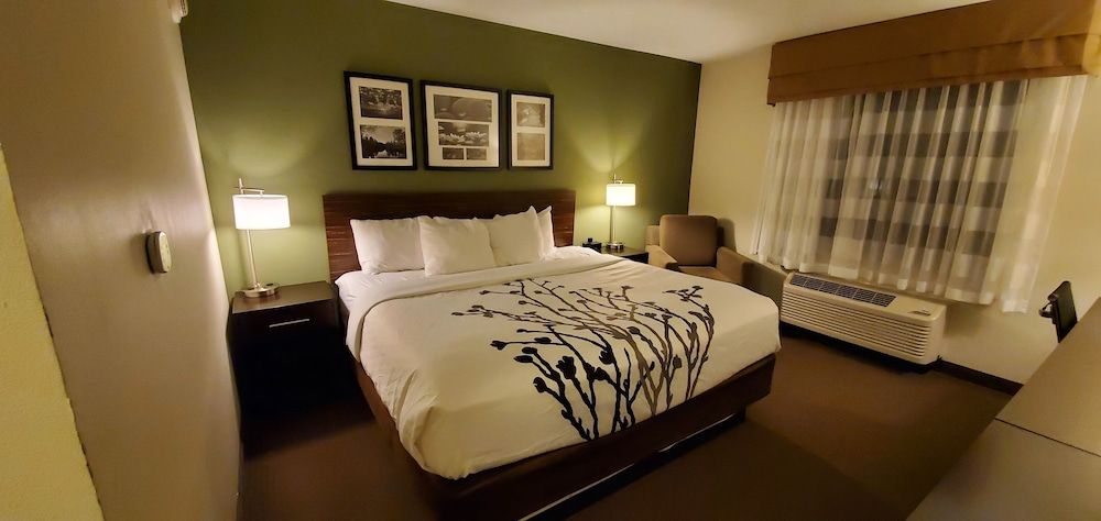 Room, 1 King Bed, Accessible, Non Smoking