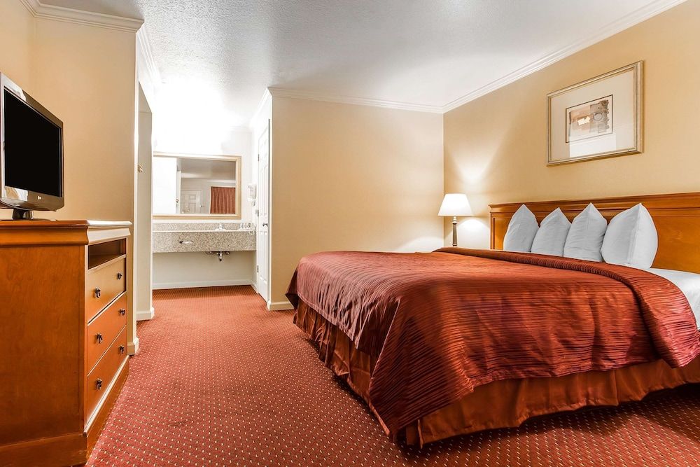 Room, 1 King Bed, Non Smoking