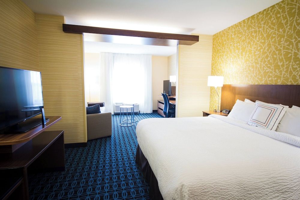 Suite, 1 King Bed with Sofa bed