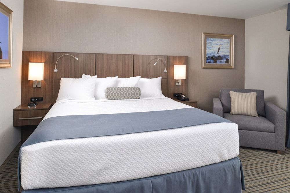 Room, 1 King Bed