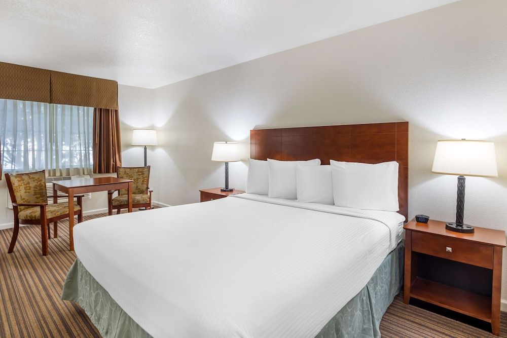 Standard Room, 1 King Bed, Non Smoking, Refrigerator & Microwave