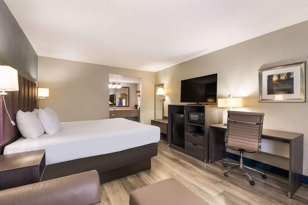 Standard Room, 1 King Bed, Refrigerator & Microwave