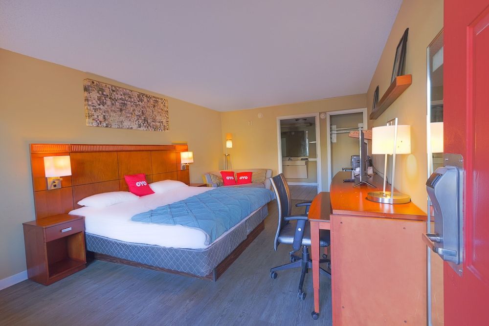 Room, 1 King Bed