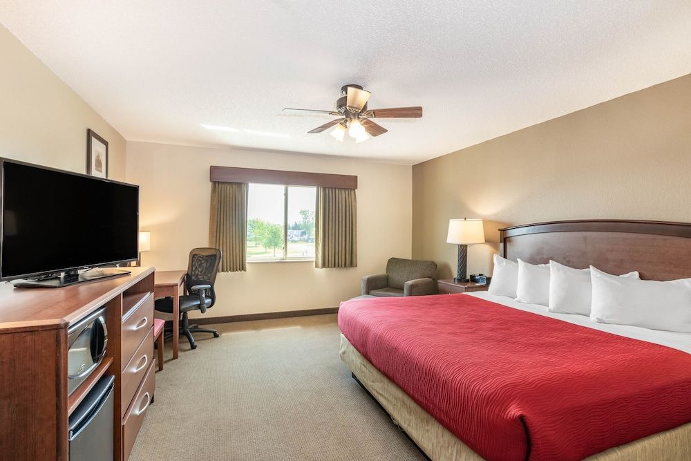 Room, 1 King Bed, Non Smoking