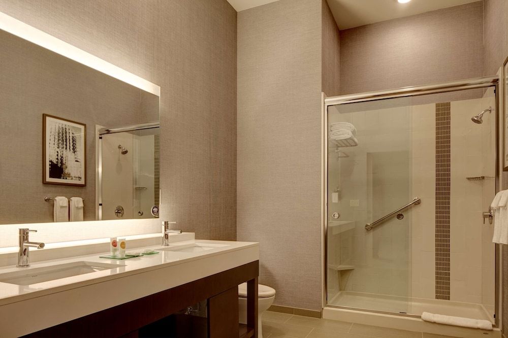 Suite, 1 King Bed with Sofa bed