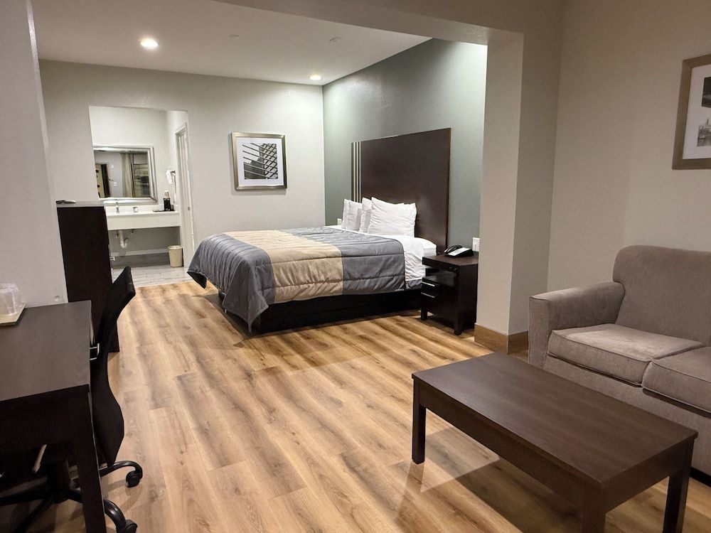 Single Room, 1 King Bed
