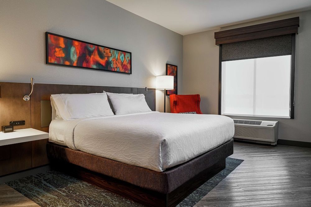 Room, 1 King Bed