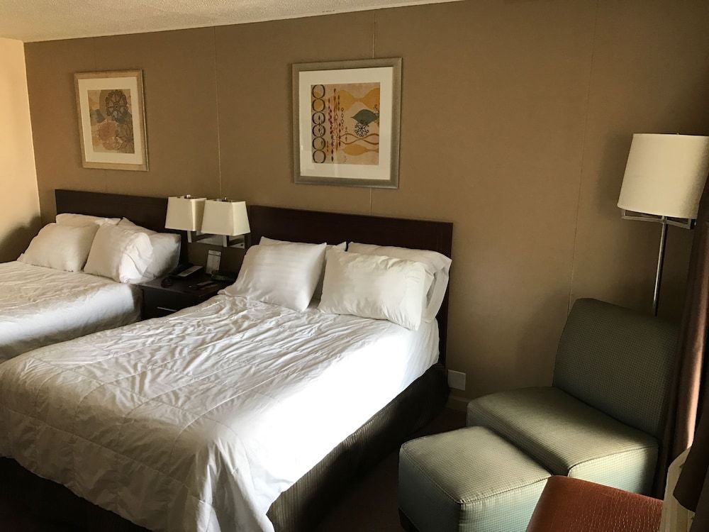 Standard Double Room, 2 Double Beds