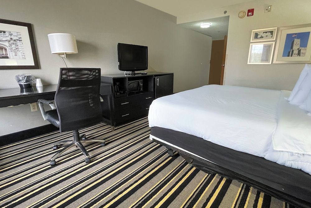 Room, 1 King Bed, Non Smoking