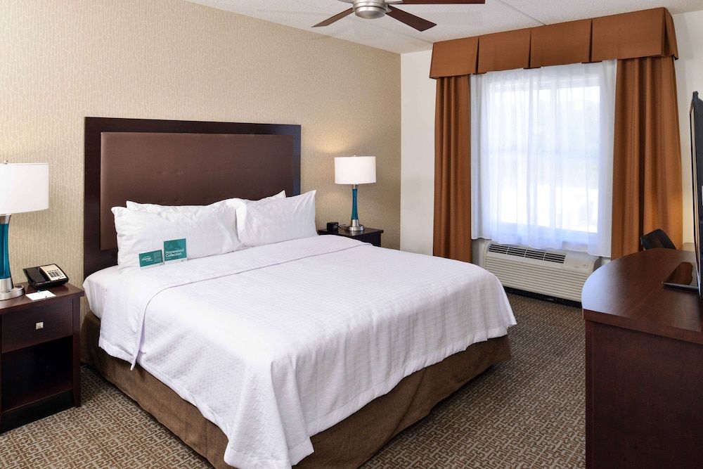 Suite, 1 King Bed with Sofa bed, Accessible
