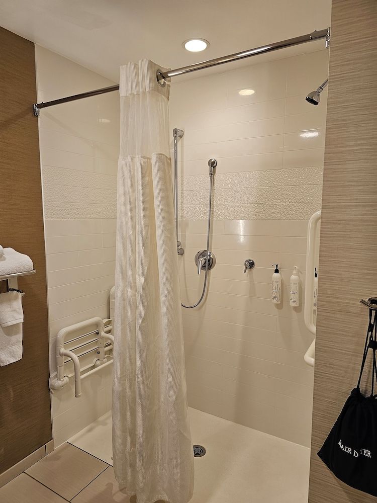 Room, 1 King Bed (Mobility/Hearing Access, Roll-In Shwr)