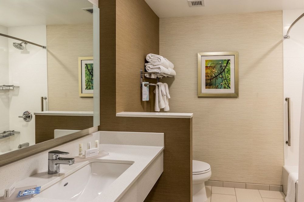 Suite, 1 King Bed with Sofa bed (Mobility/Hearing Accessible, Tub)