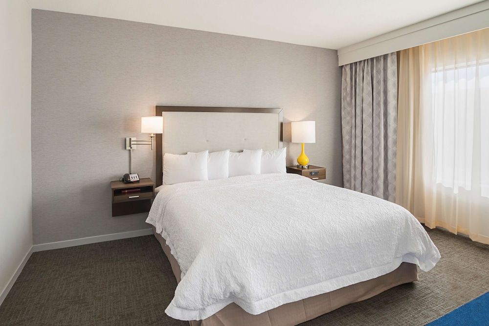 Room, 1 King Bed, Accessible, Non Smoking (w/ roll-in shower)