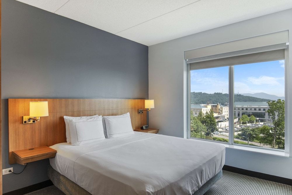 Room, 1 King Bed, Accessible (Mobility & Hearing, Roll-In Shower)