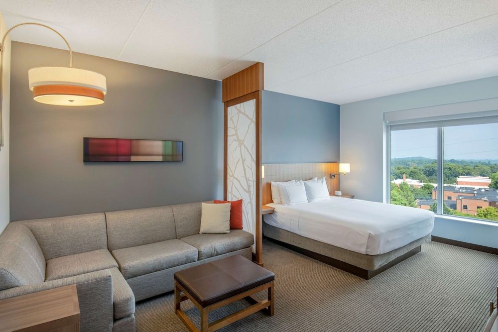 Room, 1 King Bed