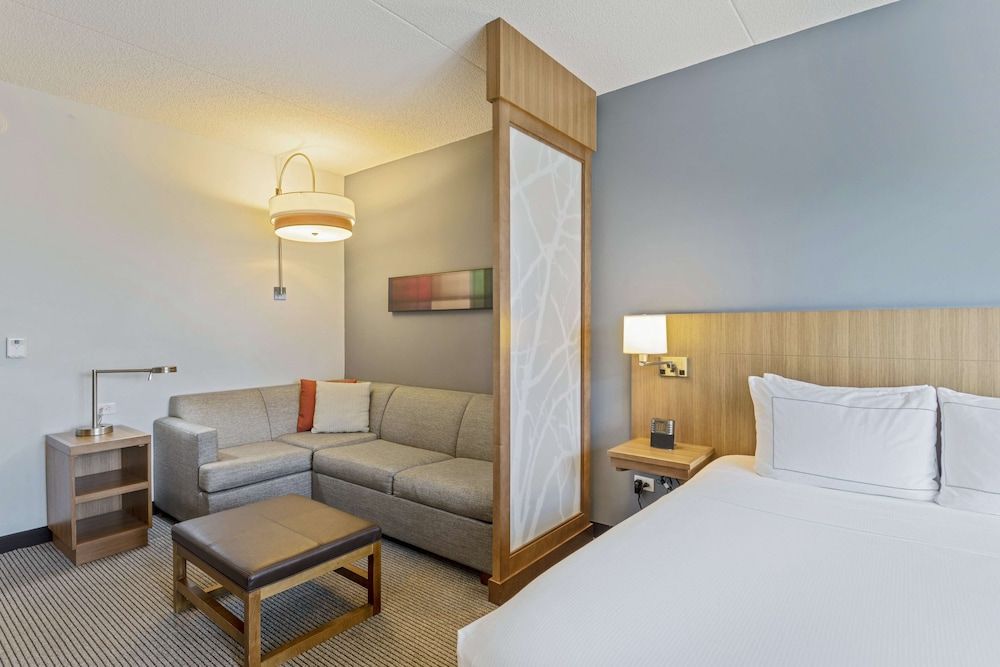 Room, 1 King Bed