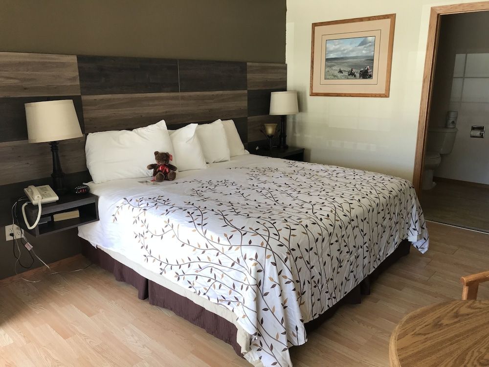 Standard Single Room, 1 King Bed, Accessible, Refrigerator & Microwave