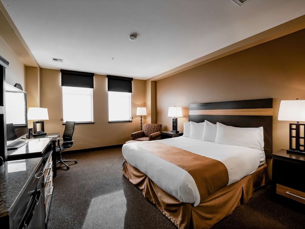 Room, 1 King Bed, Accessible (Roll-In Shower)