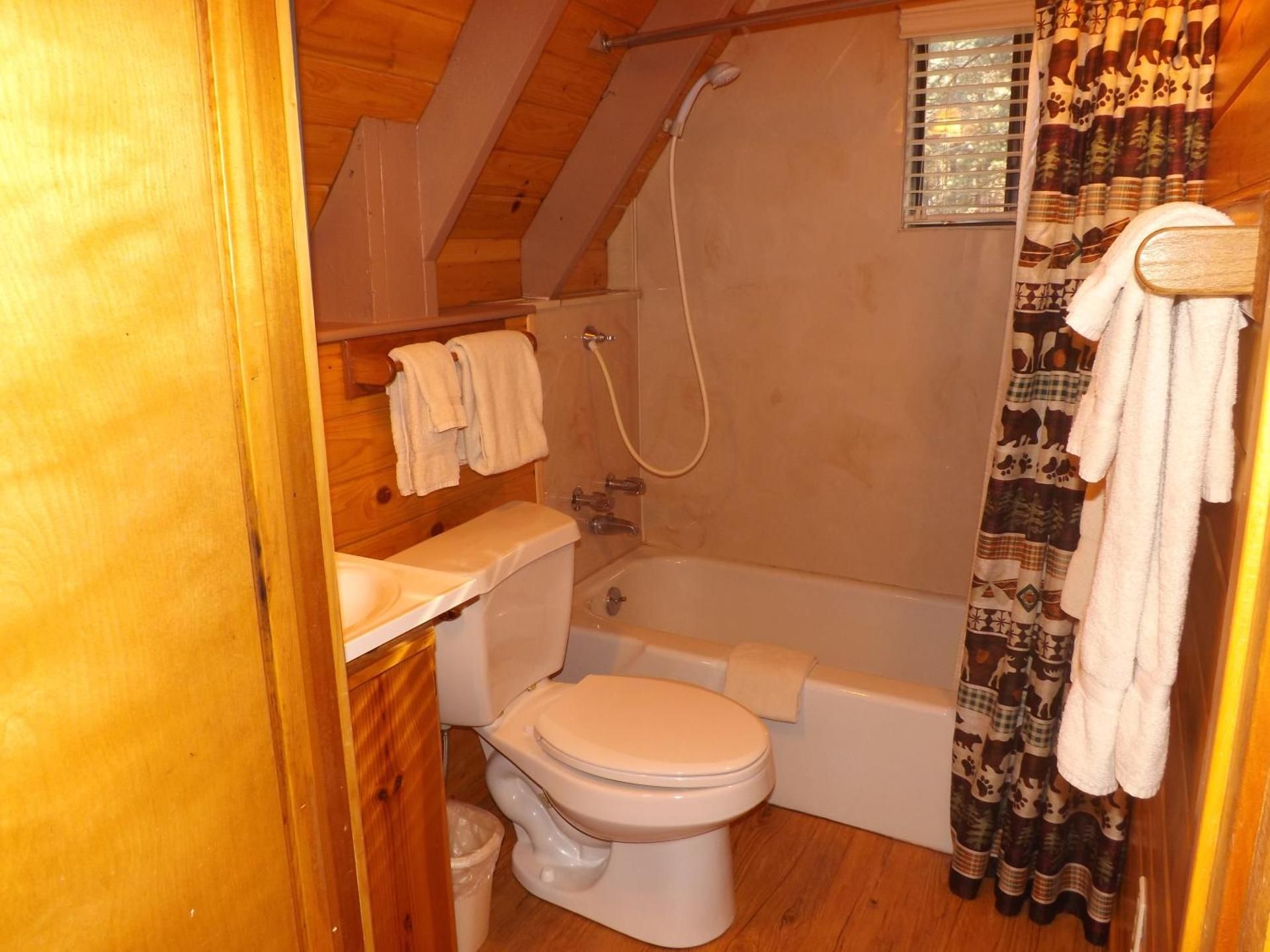 Cabin 6