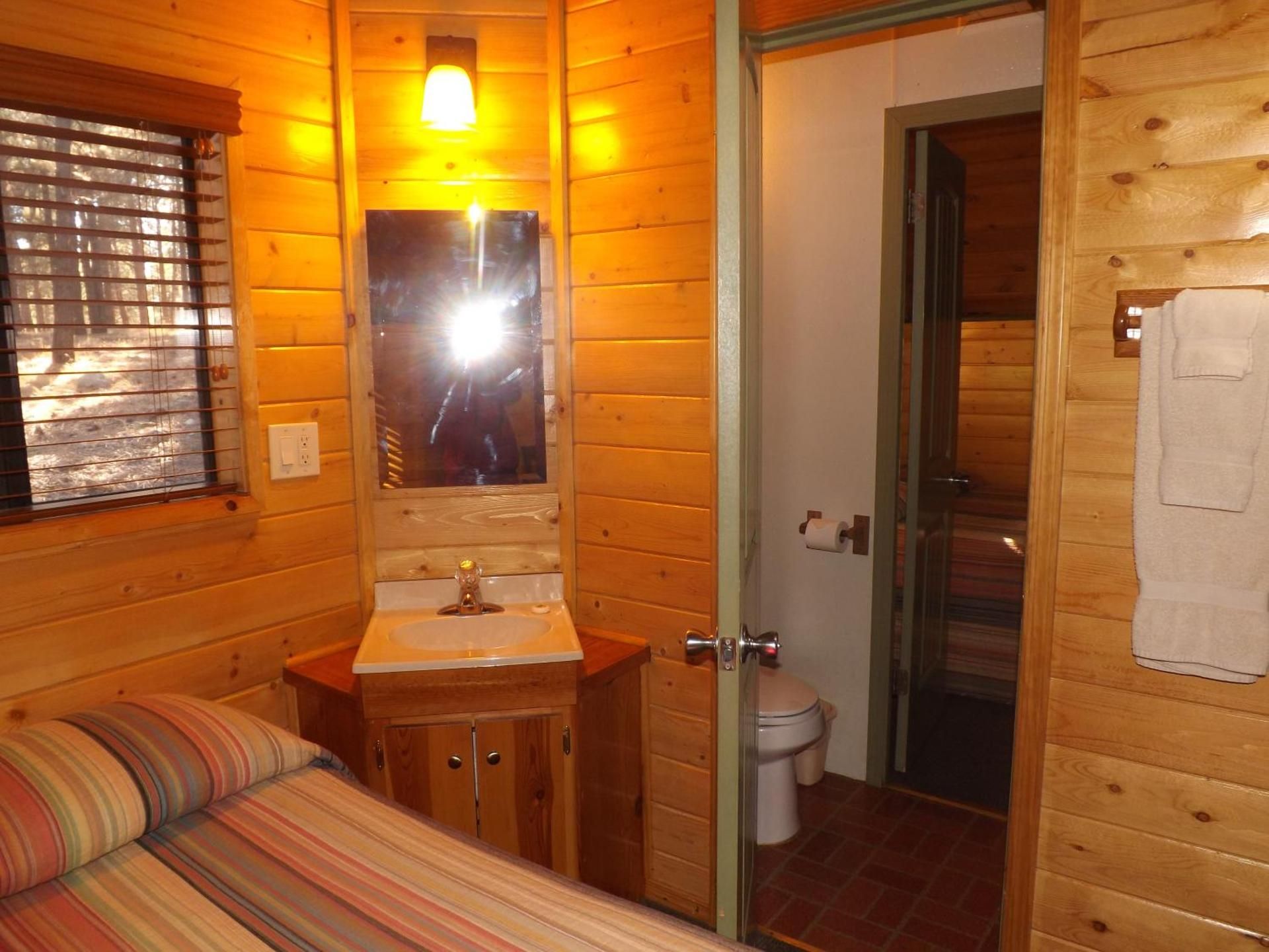 Cabin 12