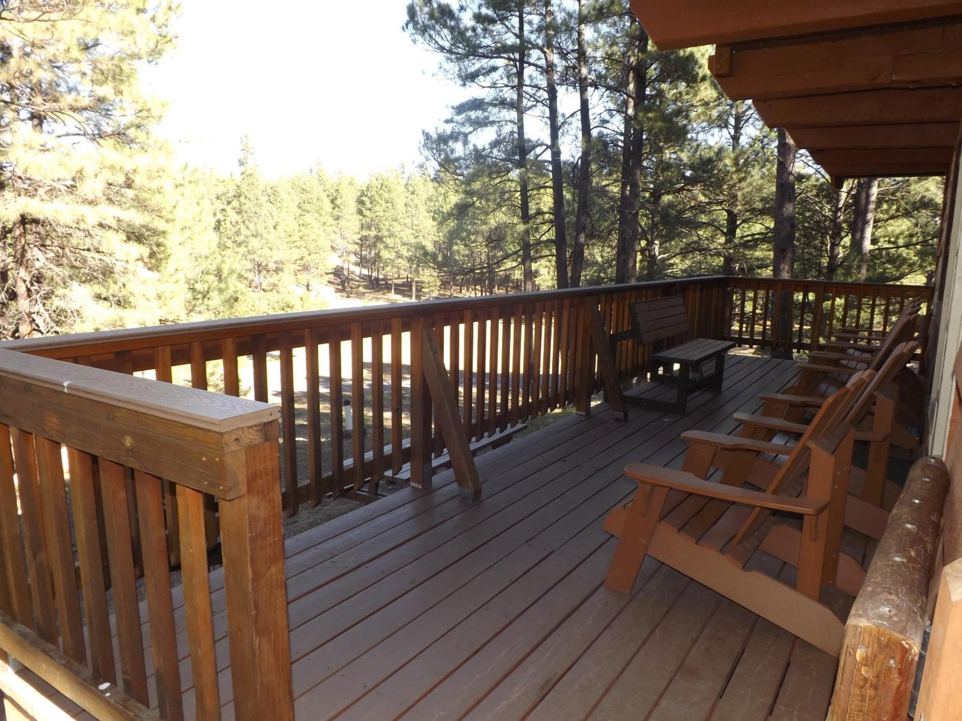 Cabin 16