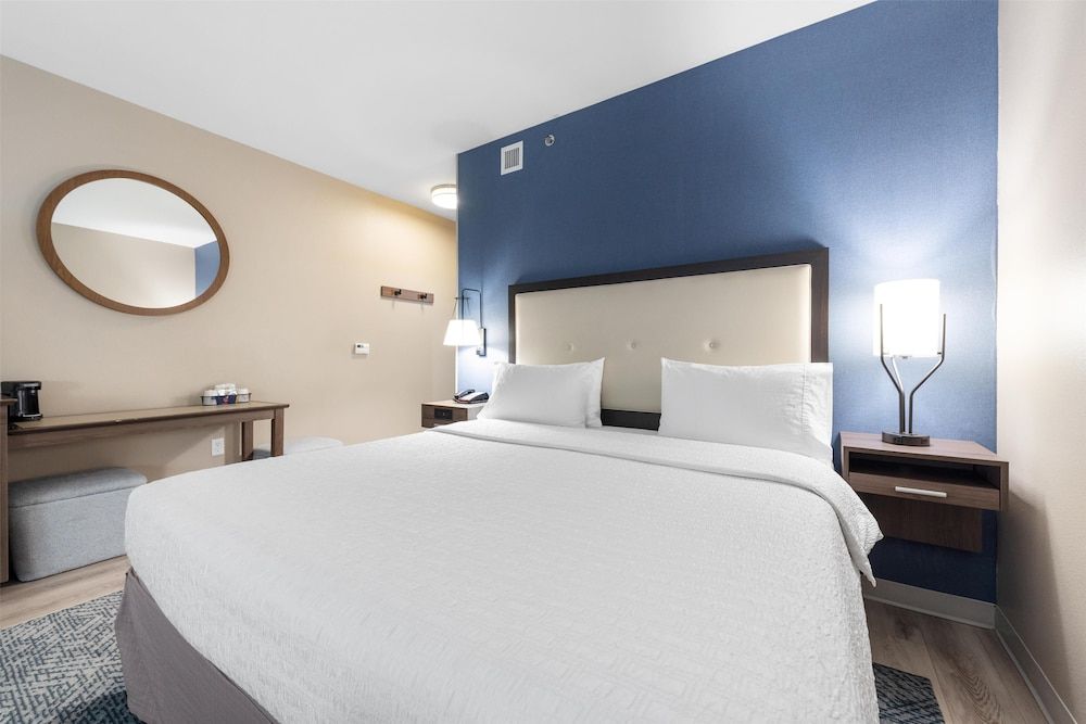 Room, 1 King Bed with Sofa bed, Accessible