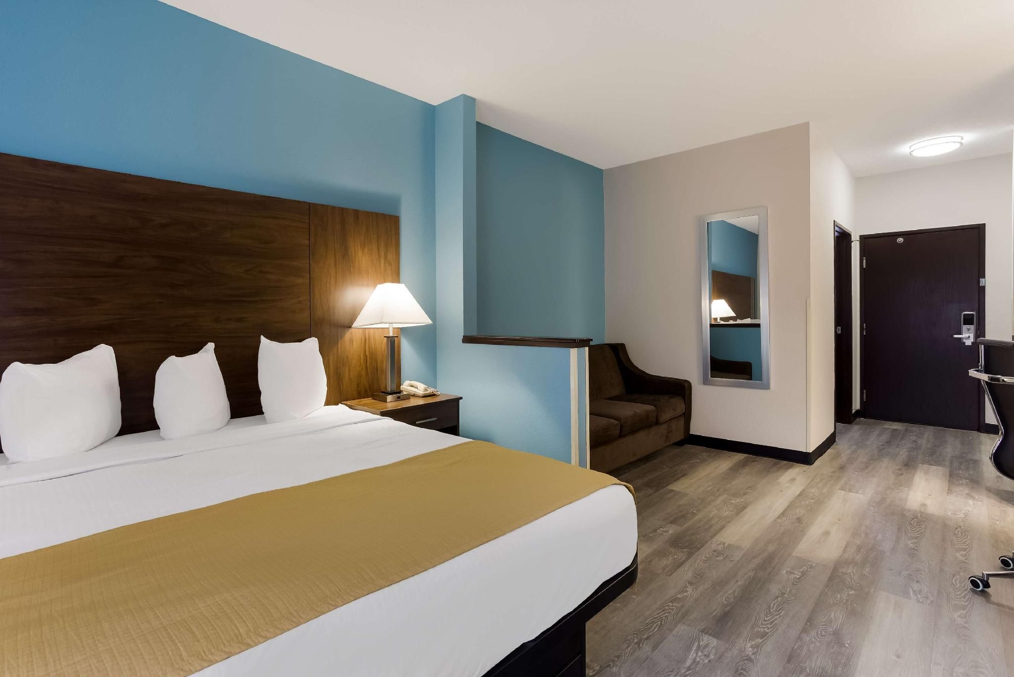 Suite - 1 King Bed, Nonsmoking, Sofabed