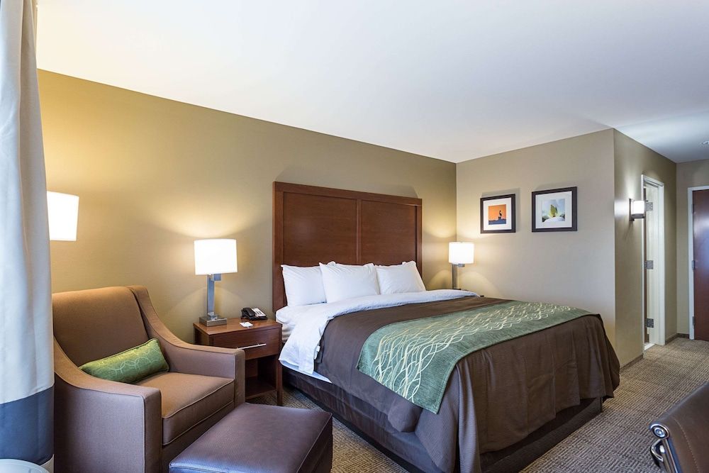 Standard Room, 1 King Bed, Non Smoking