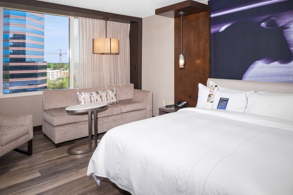 Room, 1 King Bed