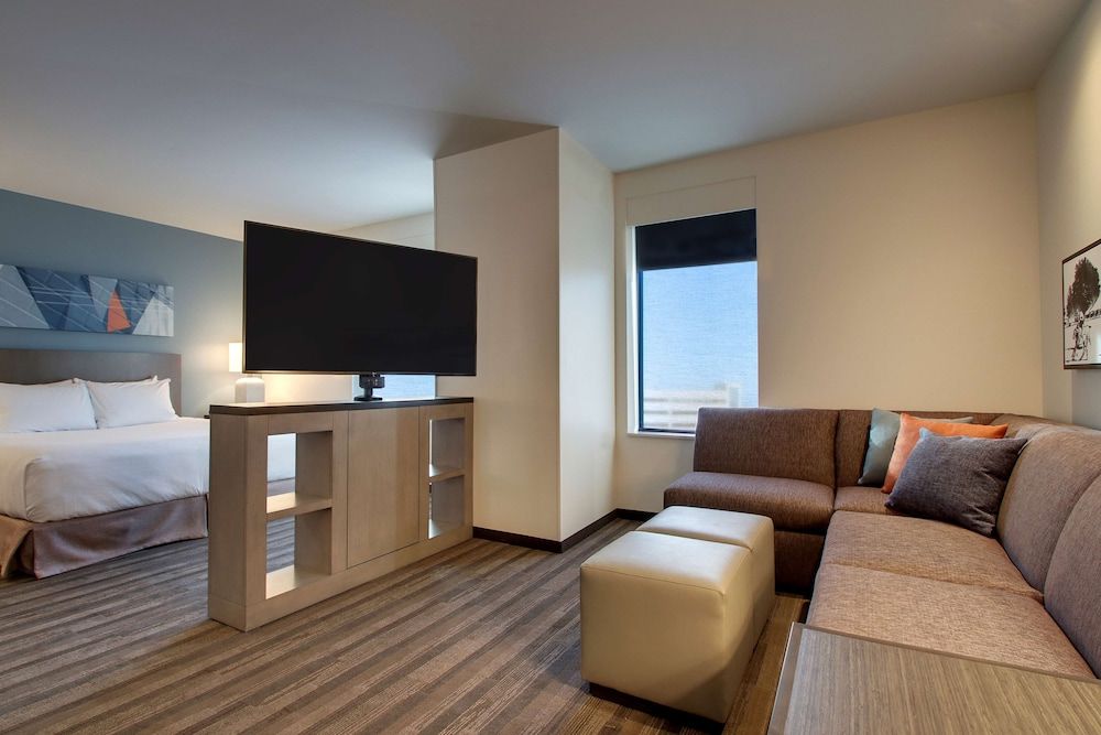Studio Suite, 1 King Bed with Sofa bed, Accessible, Bathtub