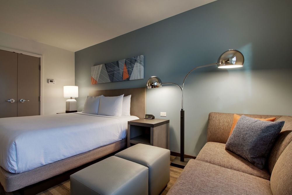 Studio Suite, 1 King Bed with Sofa bed, Accessible (With Shower)