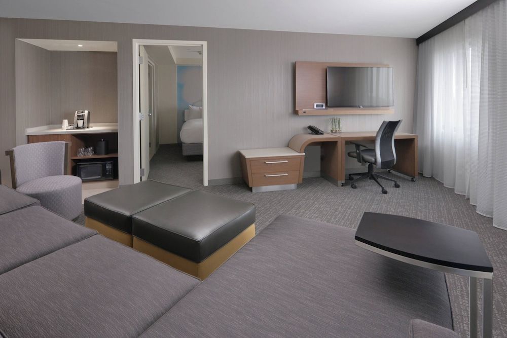 Suite, 1 King Bed with Sofa bed