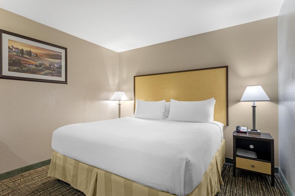 Best Western Petaluma Inn Standard Room, 1 Queen Bed, Non Smoking, Microwave 2