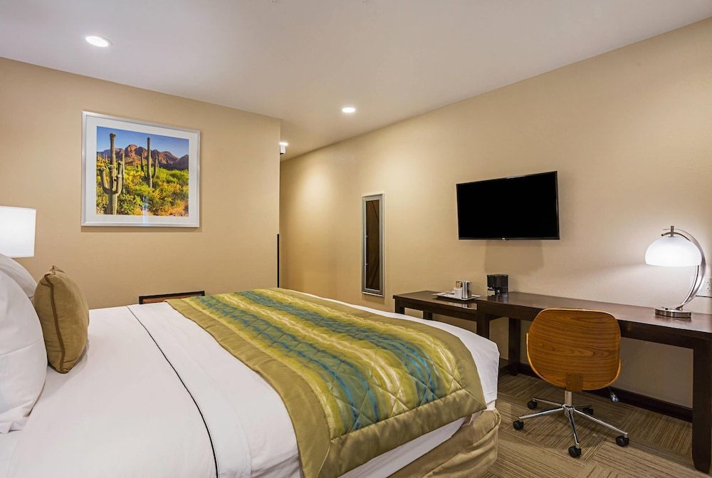 Room, 1 King Bed, Accessible, Non Smoking (Accessible Tub)