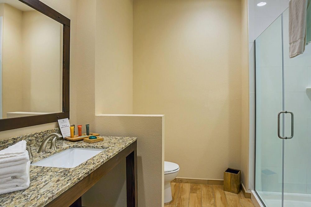Suite, 1 King Bed with Sofa bed, Accessible, Non Smoking