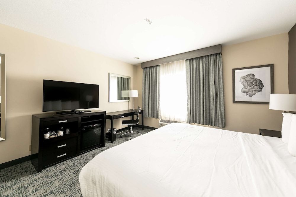 Best Western Inn & Suites San Diego – Zoo/SeaWorld Area Standard Room, 1 King Bed, Non Smoking