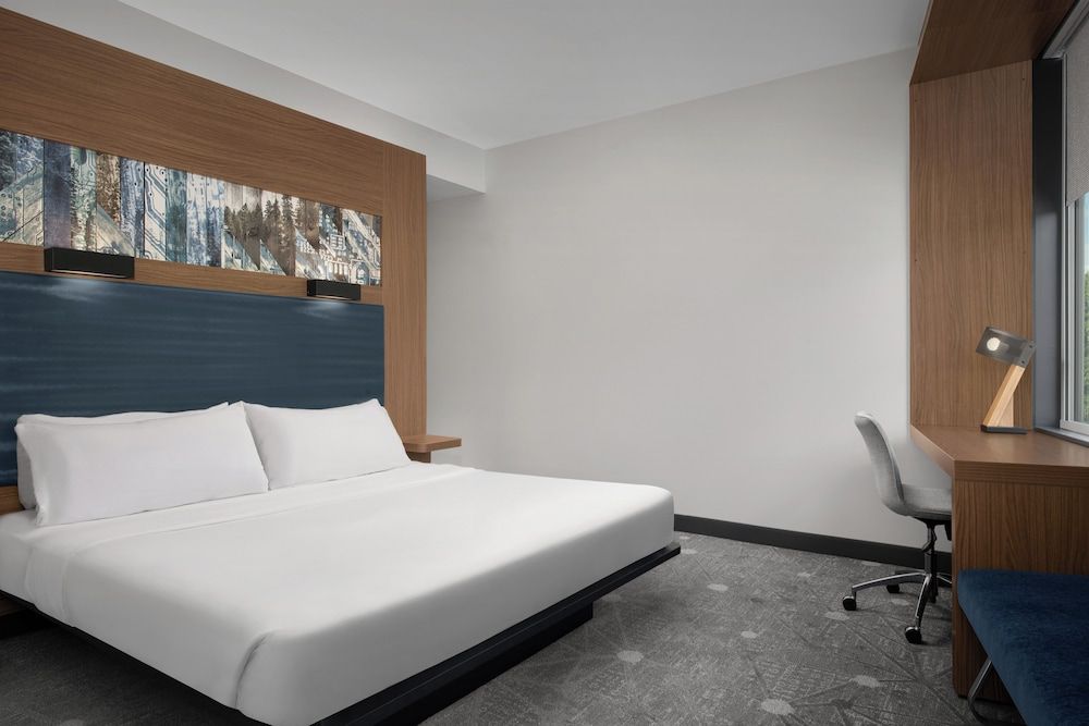 Room, 1 King Bed (Mobility Accessible, Roll-in Shower)