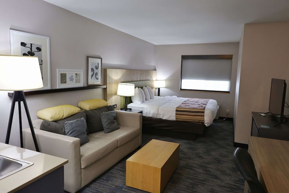 Room, 1 King Bed with Sofa bed, Non Smoking