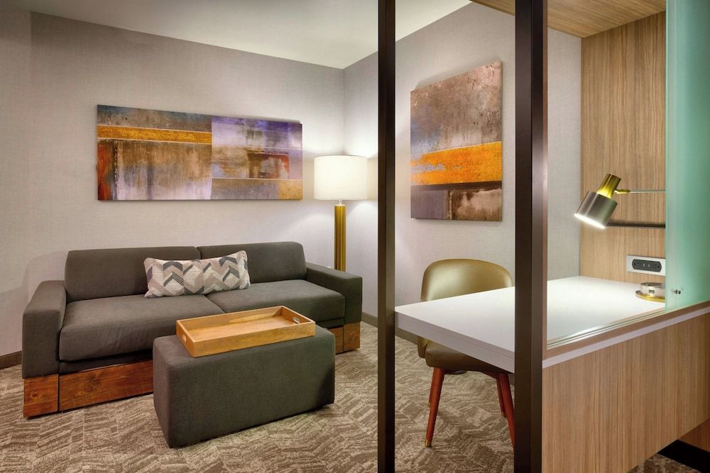 Suite, 1 King Bed with Sofa bed