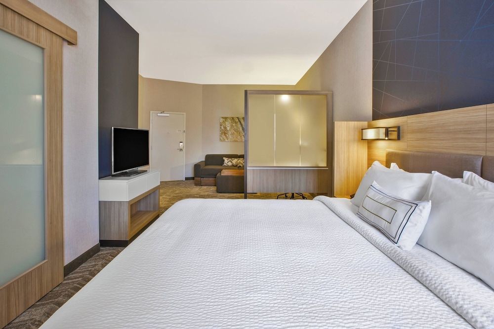 Suite, 1 King Bed with Sofa bed, Non Smoking