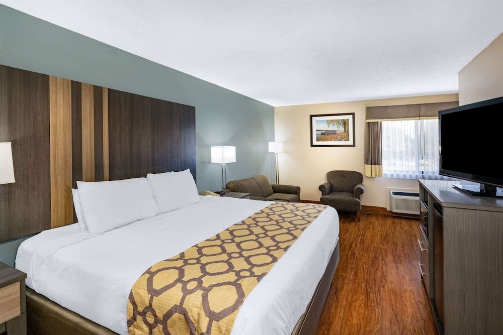 Room, 1 King Bed, Non Smoking (Pet Friendly)
