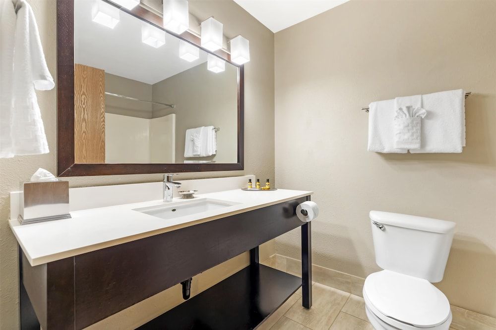 Suite, 1 King Bed, Non Smoking, Kitchen (with Single Sofabed)
