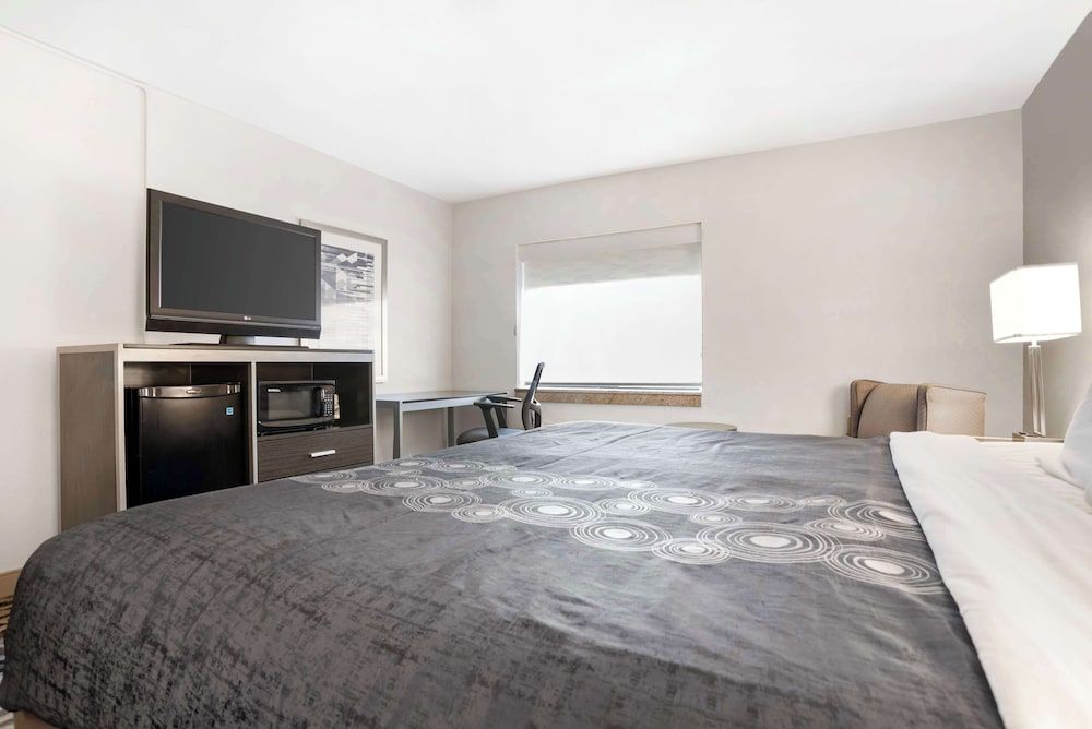 Standard Room, 1 Queen Bed, Accessible, Refrigerator & Microwave