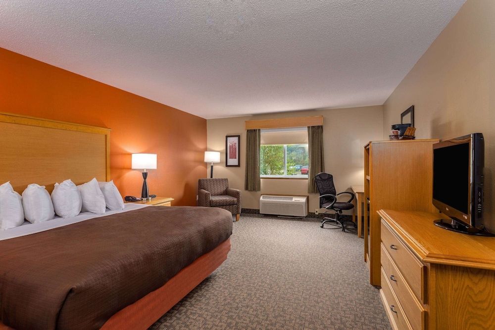 Room, 1 King Bed, Accessible, Non Smoking