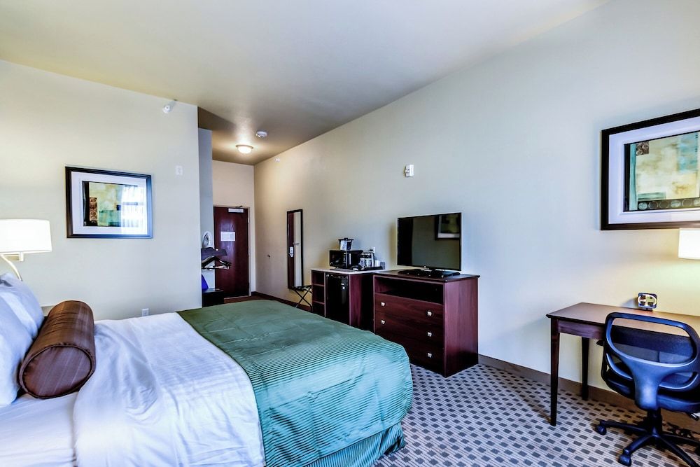 Cobblestone Inn & Suites - Waverly Room, 1 King Bed, Accessible Roll in Shower, Non Smoking 3